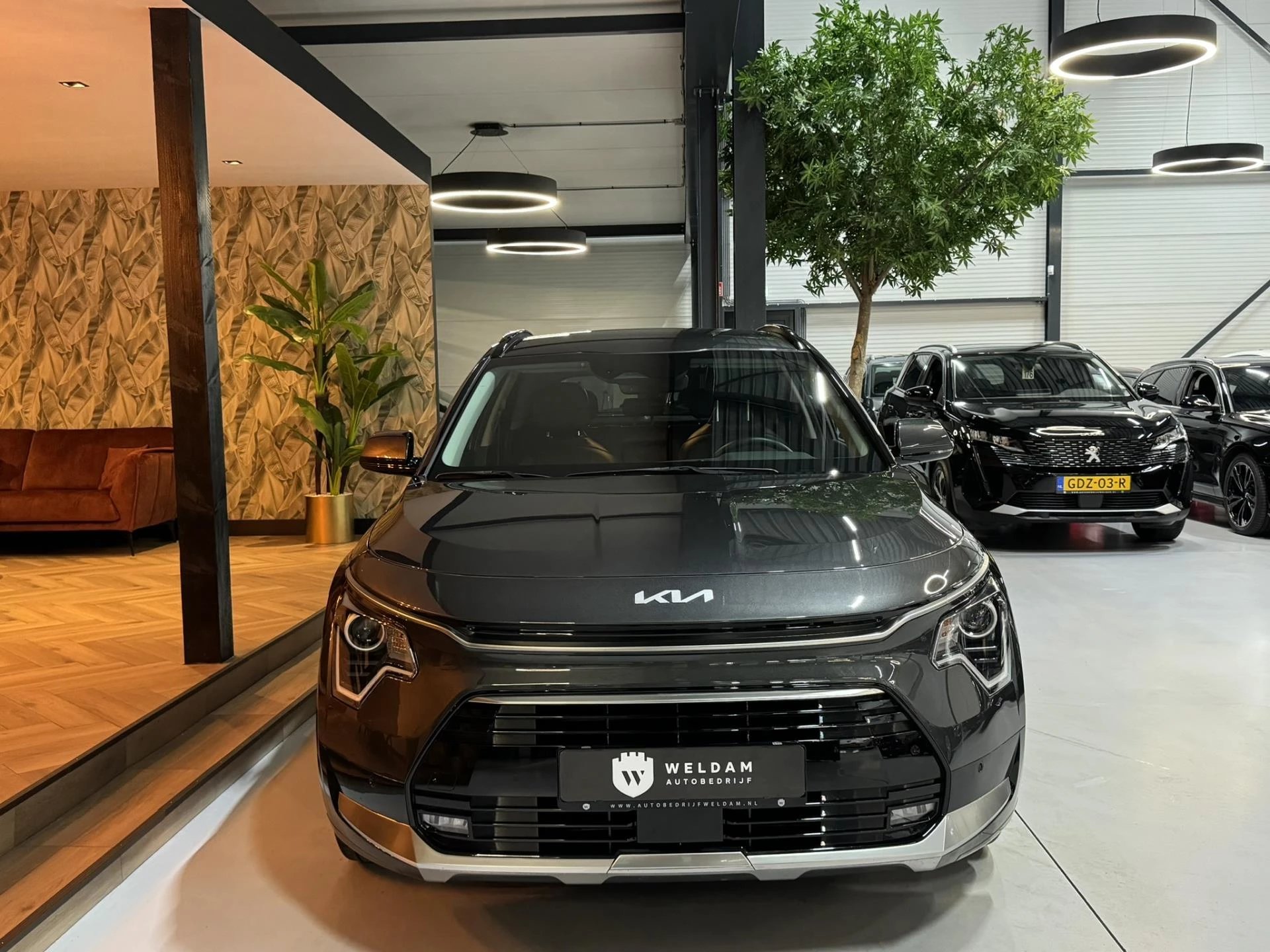 Hoofdafbeelding Kia Niro