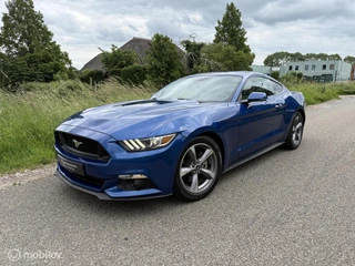 Ford Mustang 2.3 EcoBoost / Focal / Camera / Stoelventilatie