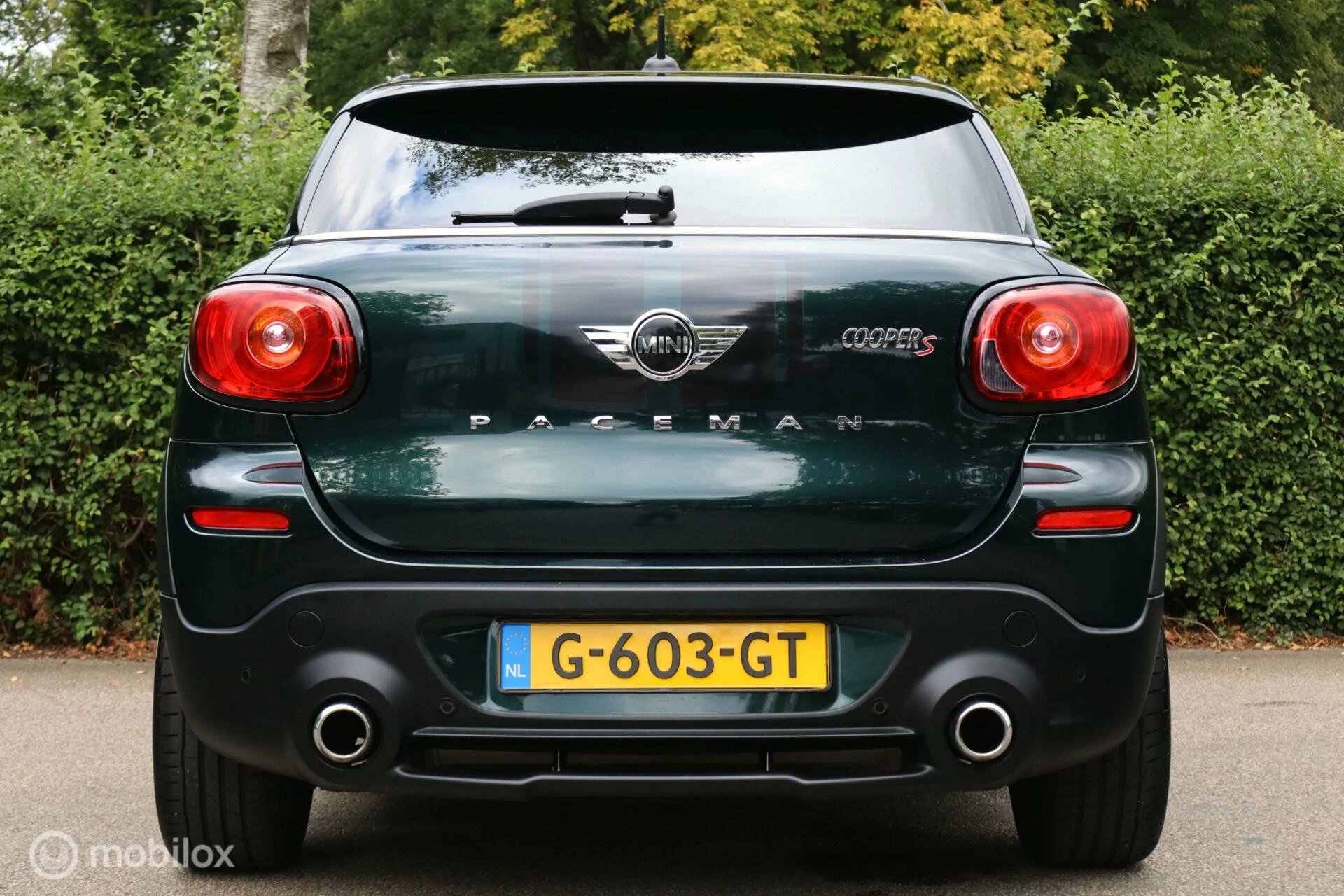 Hoofdafbeelding MINI Paceman