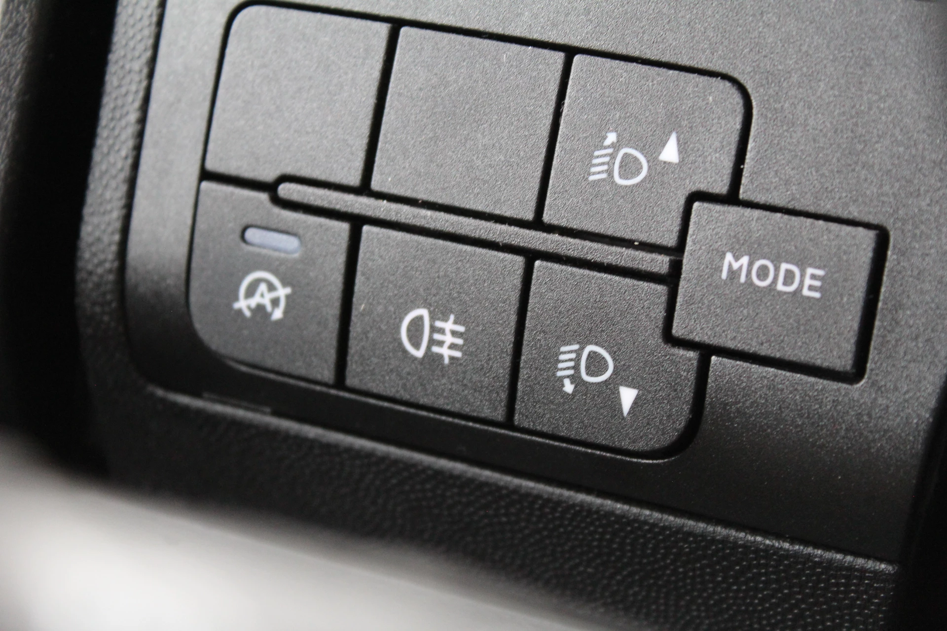 Hoofdafbeelding McLouis YEARLING