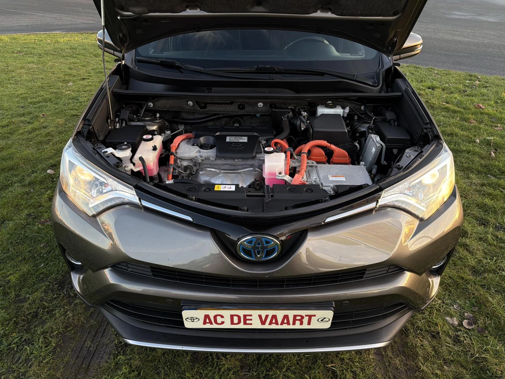 Hoofdafbeelding Toyota RAV4