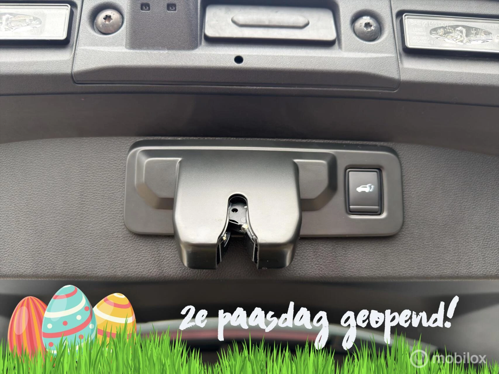 Hoofdafbeelding Renault Symbioz