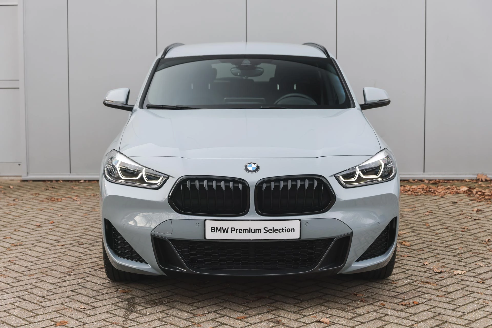 Hoofdafbeelding BMW X2