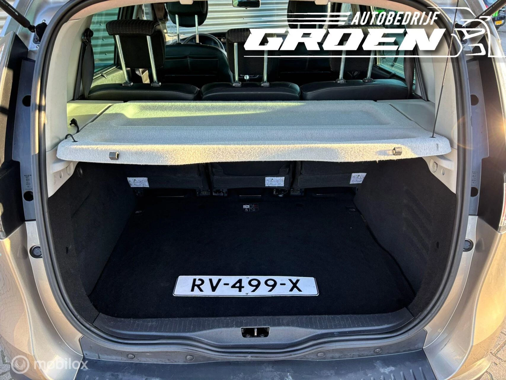 Hoofdafbeelding Renault Scénic