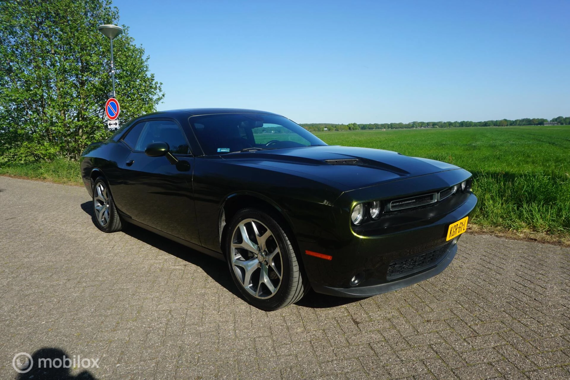 Hoofdafbeelding Dodge Challenger
