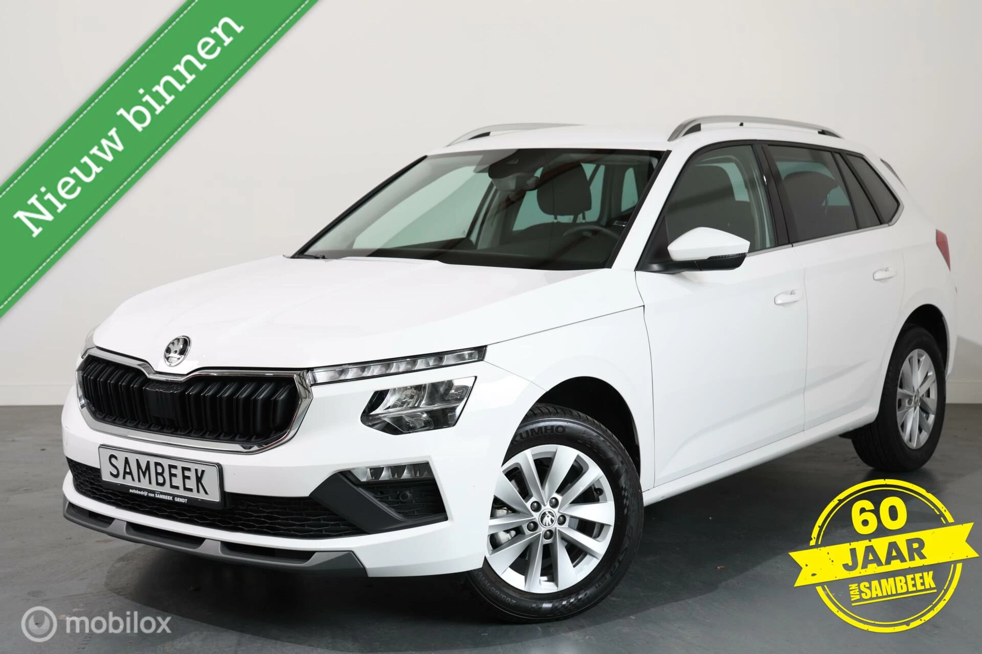 Hoofdafbeelding Škoda Kamiq
