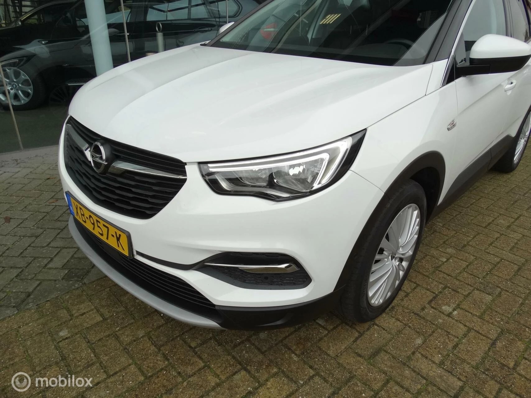 Hoofdafbeelding Opel Grandland X