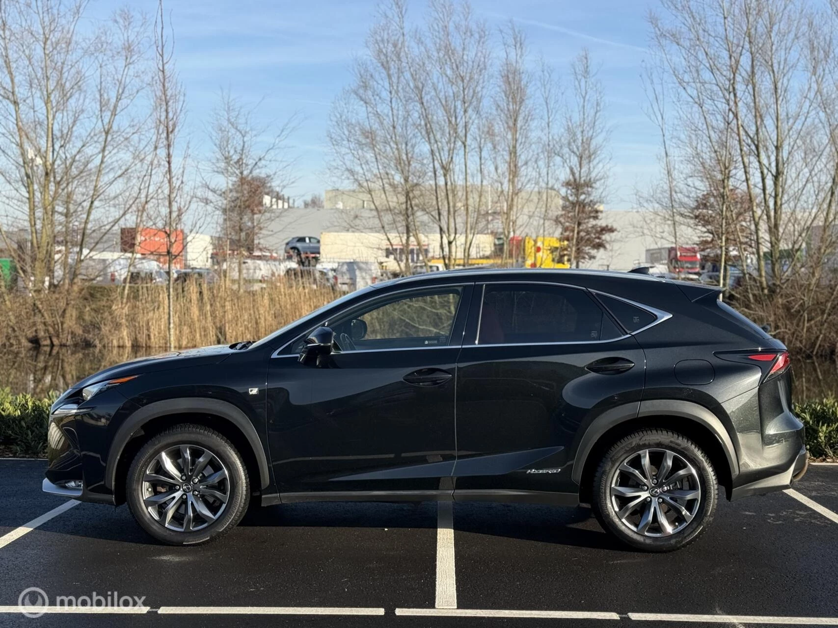 Hoofdafbeelding Lexus NX