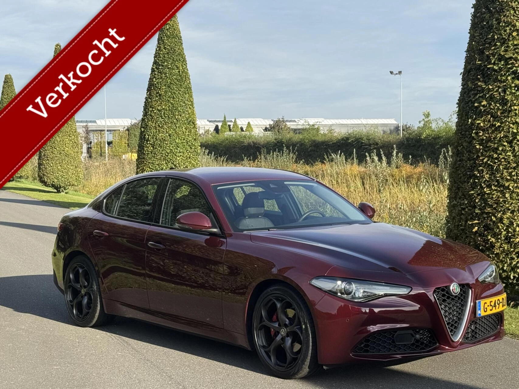 Hoofdafbeelding Alfa Romeo Giulia