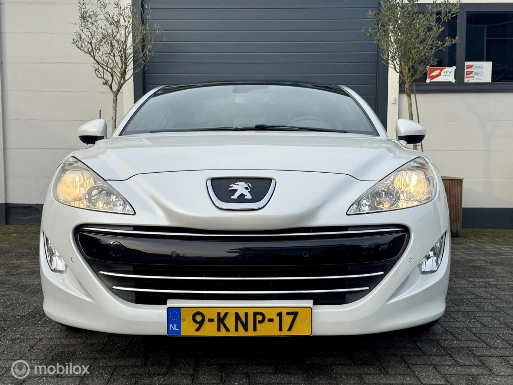 Hoofdafbeelding Peugeot RCZ