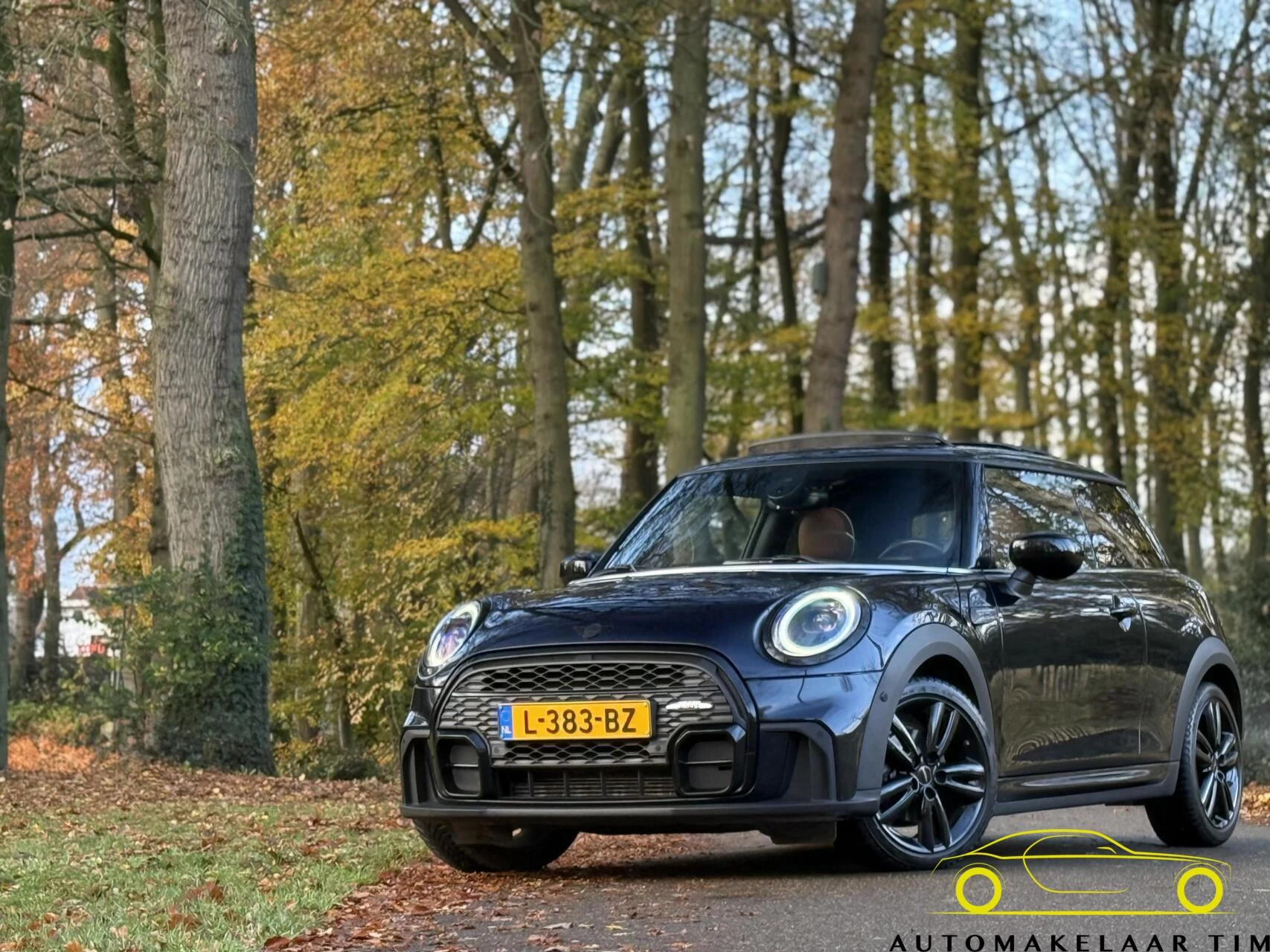 Hoofdafbeelding MINI Cooper