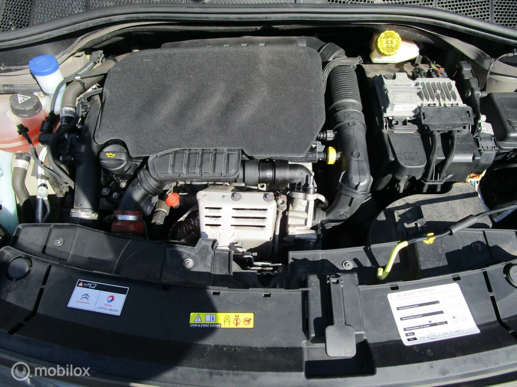 Hoofdafbeelding Citroën C4 Cactus