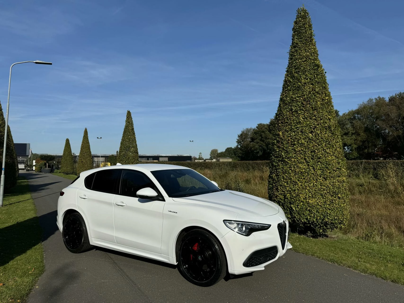 Hoofdafbeelding Alfa Romeo Stelvio