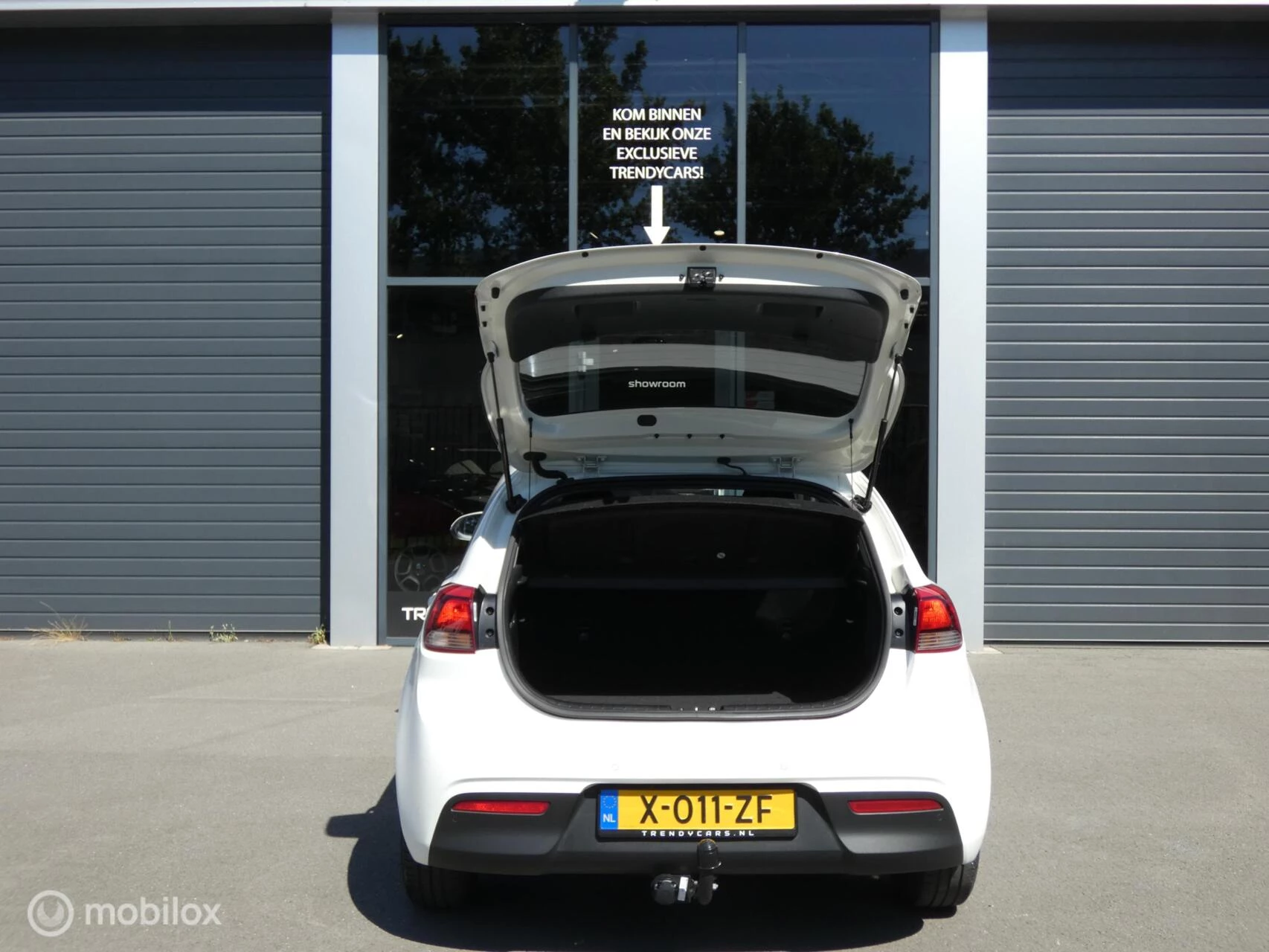 Hoofdafbeelding Kia Rio
