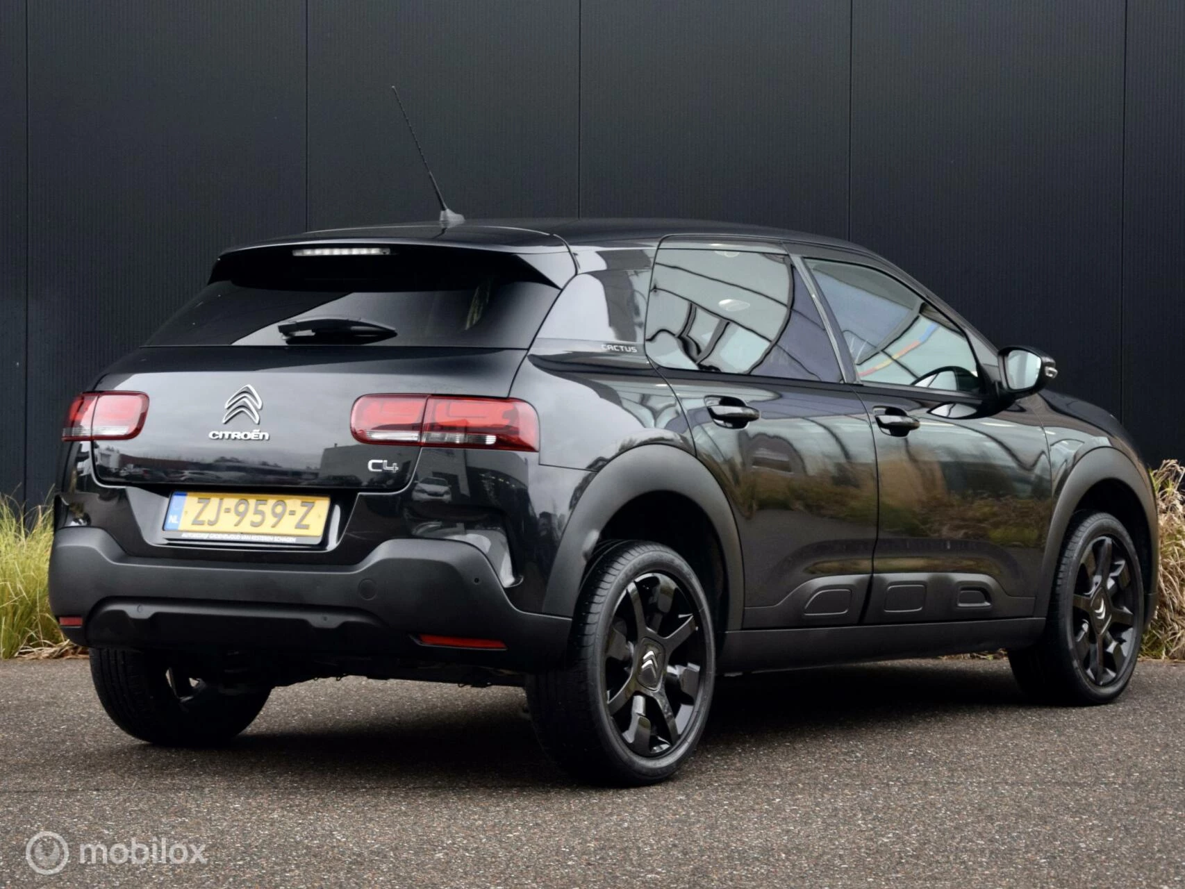 Hoofdafbeelding Citroën C4 Cactus