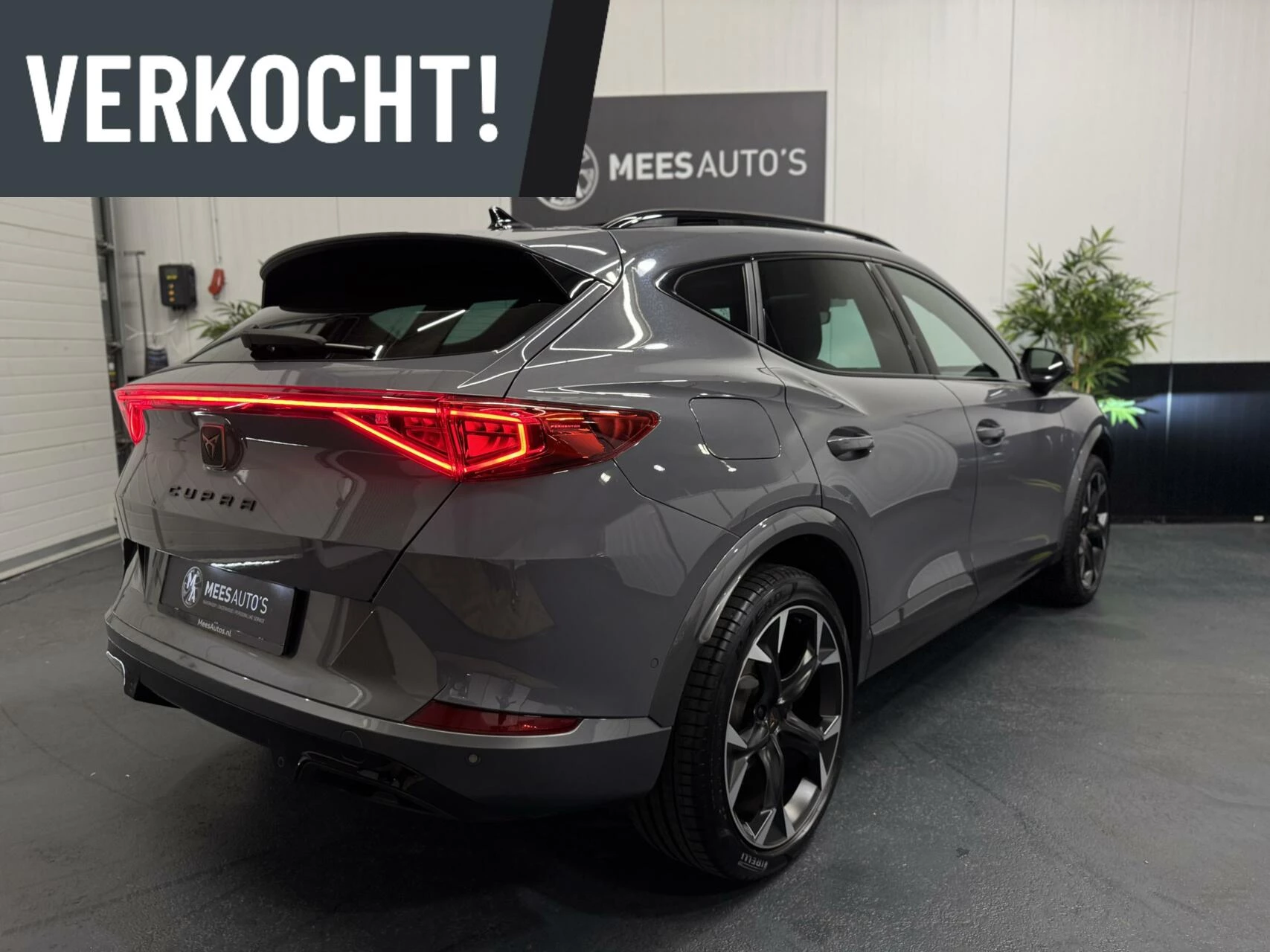 Hoofdafbeelding CUPRA Formentor