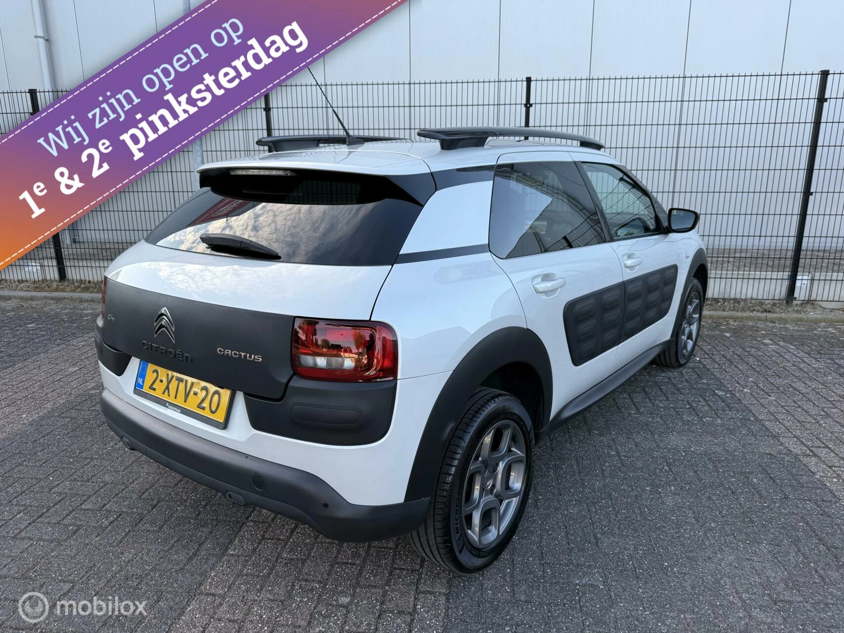 Hoofdafbeelding Citroën C4 Cactus