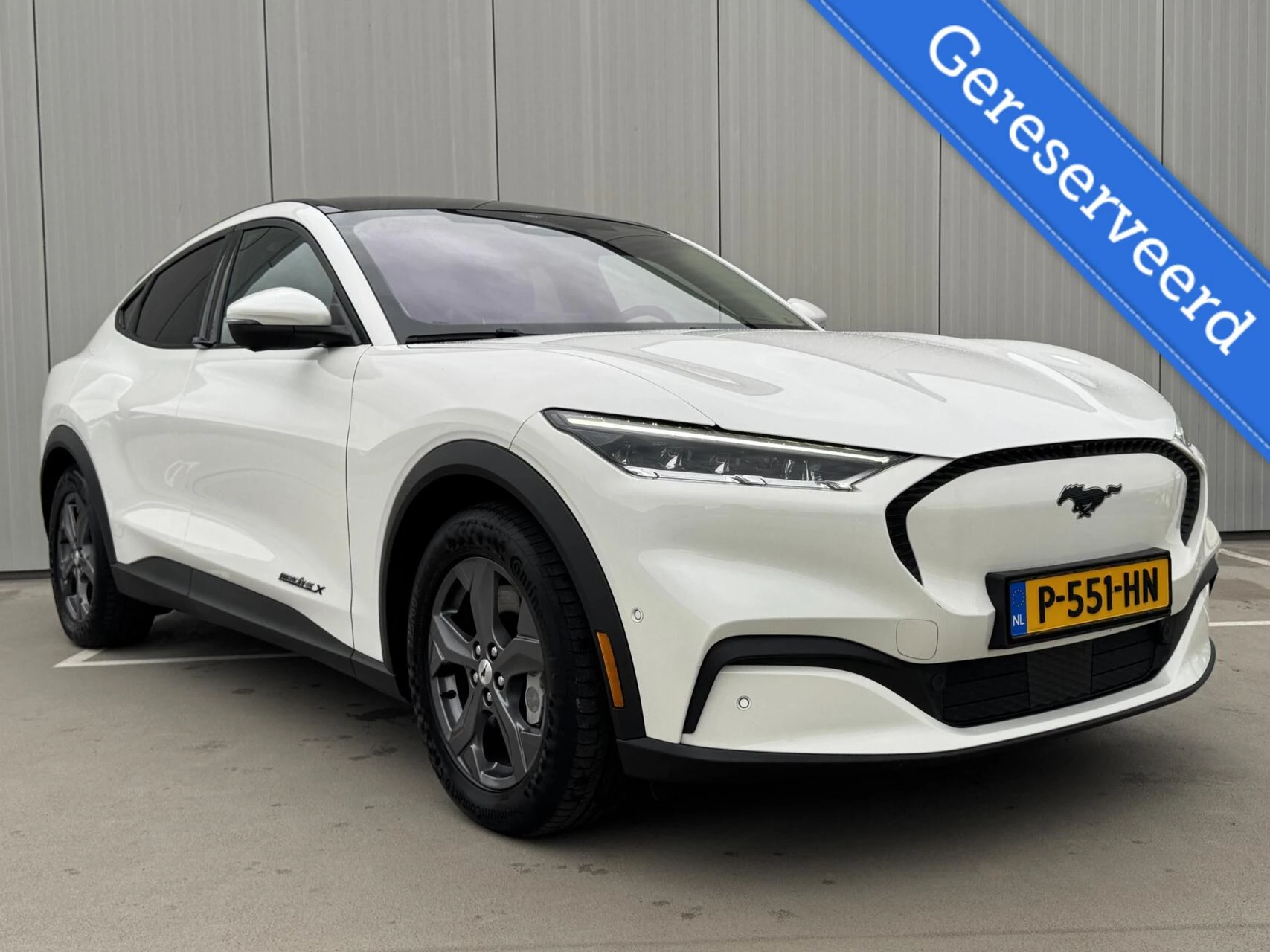 Hoofdafbeelding Ford Mustang Mach-E