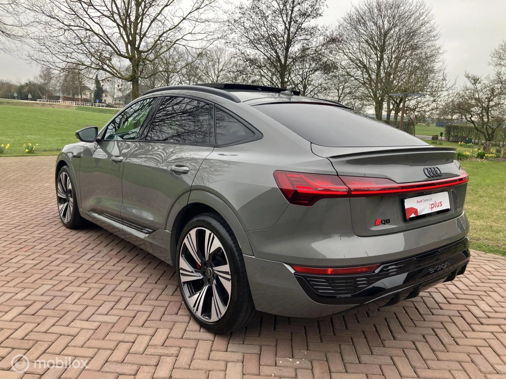 Hoofdafbeelding Audi Q8 Sportback e-tron