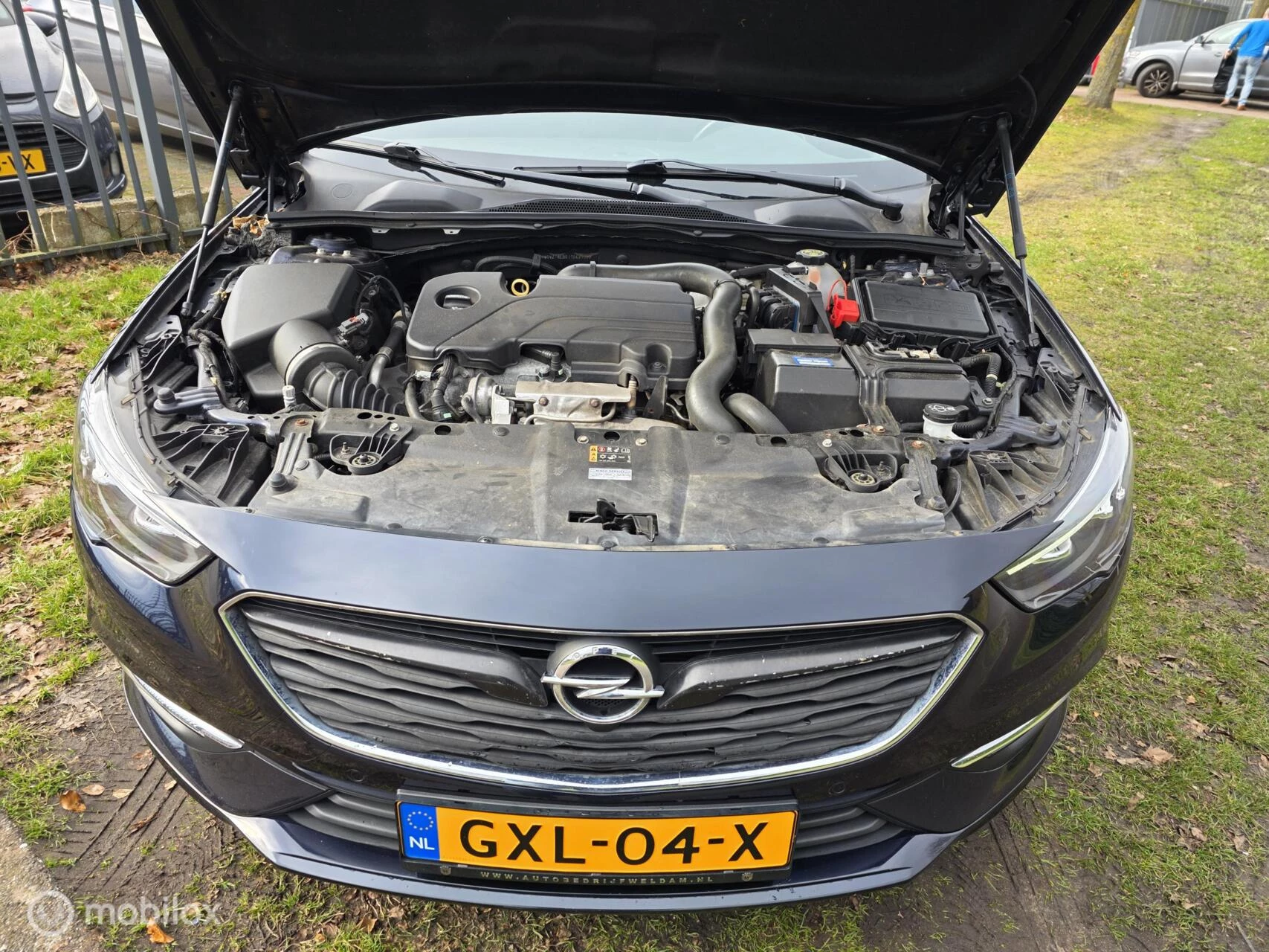 Hoofdafbeelding Opel Insignia