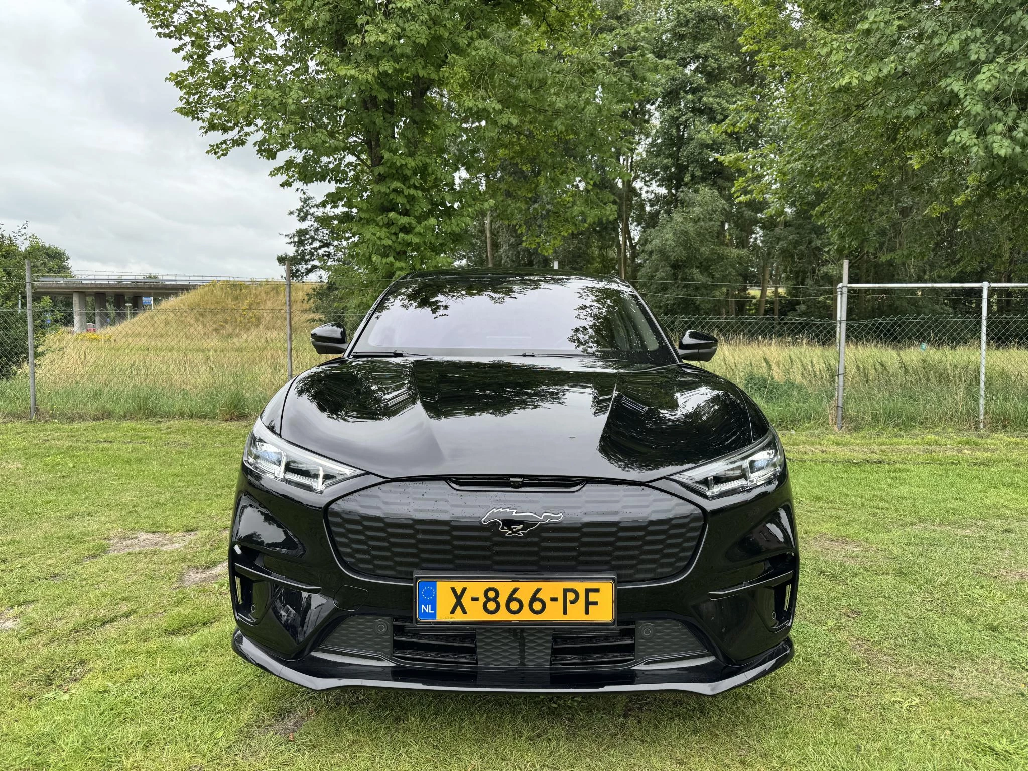 Hoofdafbeelding Ford Mustang Mach-E