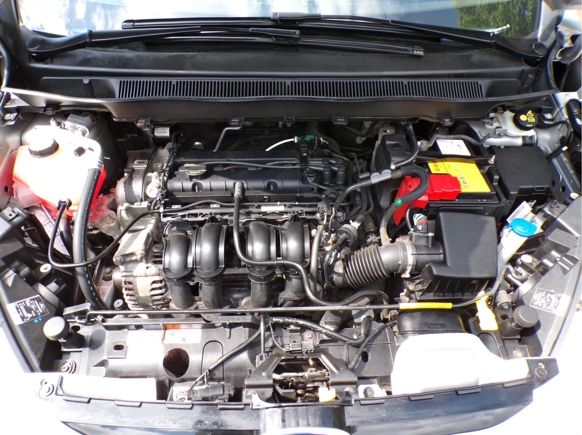 Hoofdafbeelding Ford B-MAX