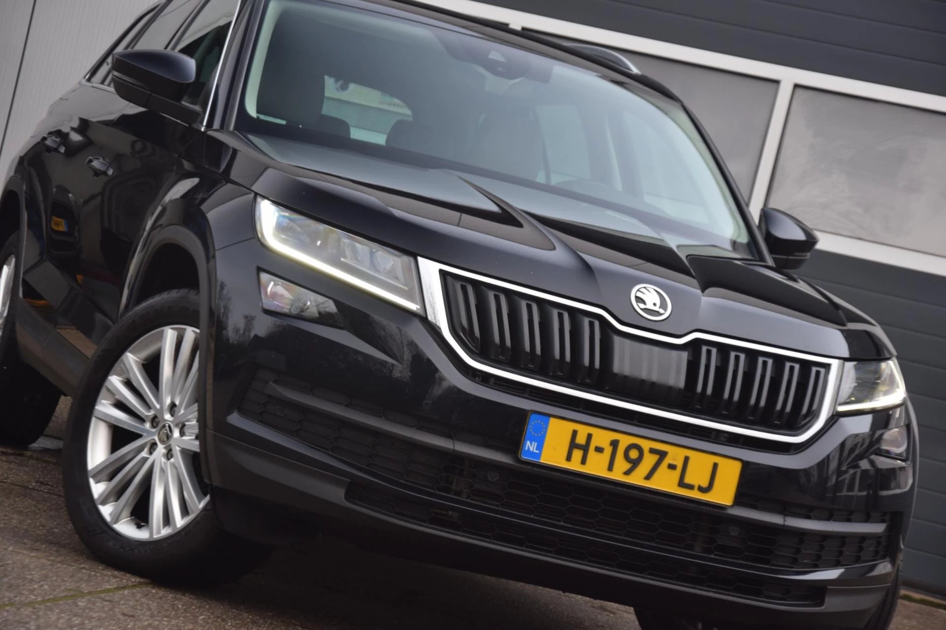 Hoofdafbeelding Škoda Kodiaq