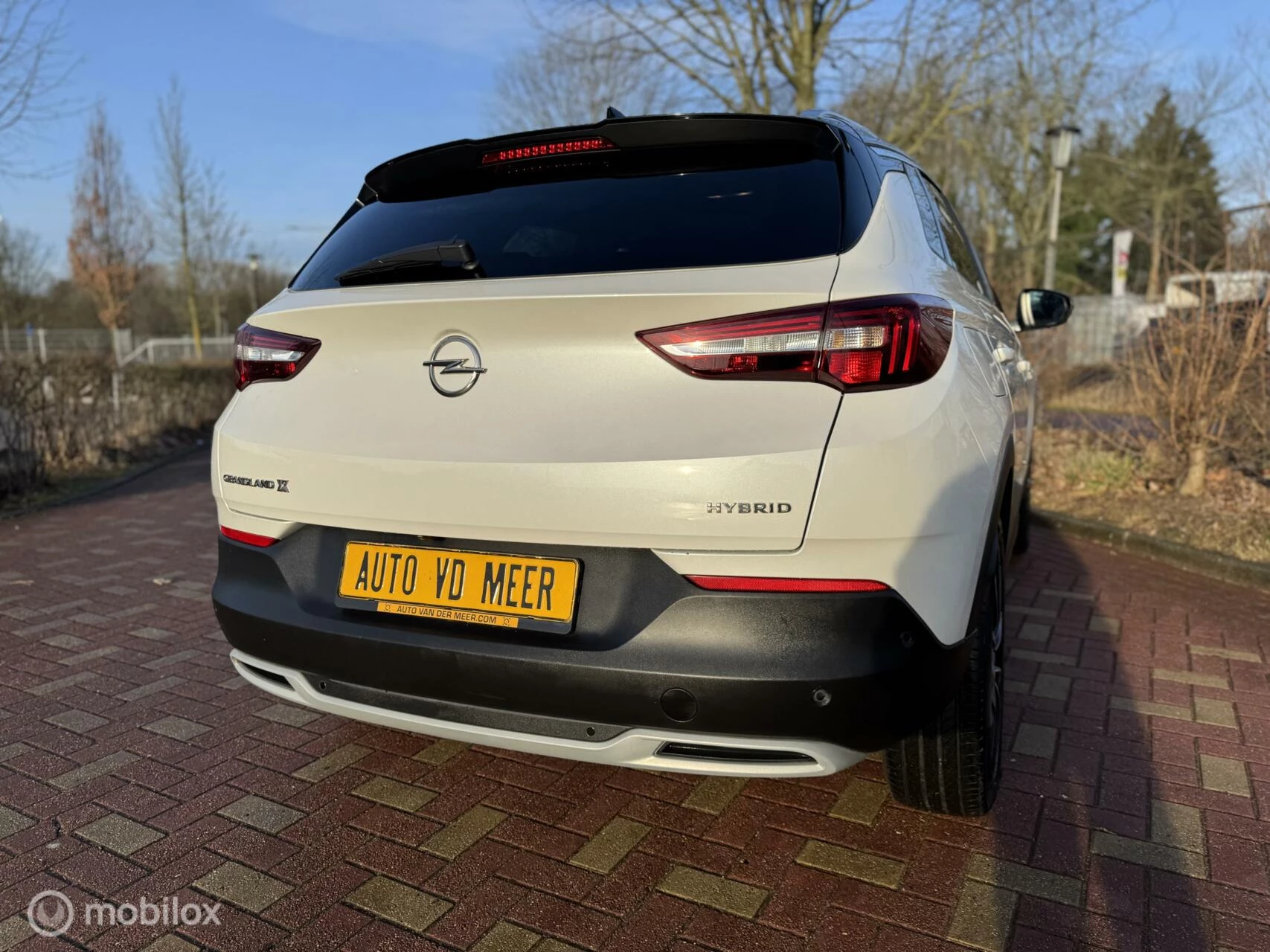 Hoofdafbeelding Opel Grandland X