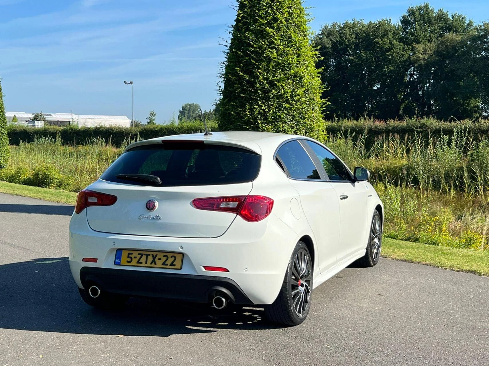 Hoofdafbeelding Alfa Romeo Giulietta