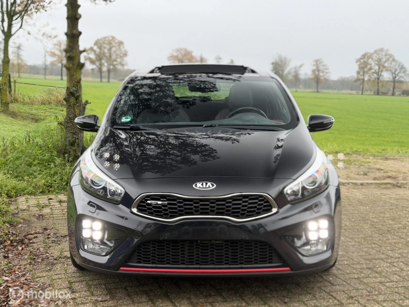 Hoofdafbeelding Kia pro_cee'd