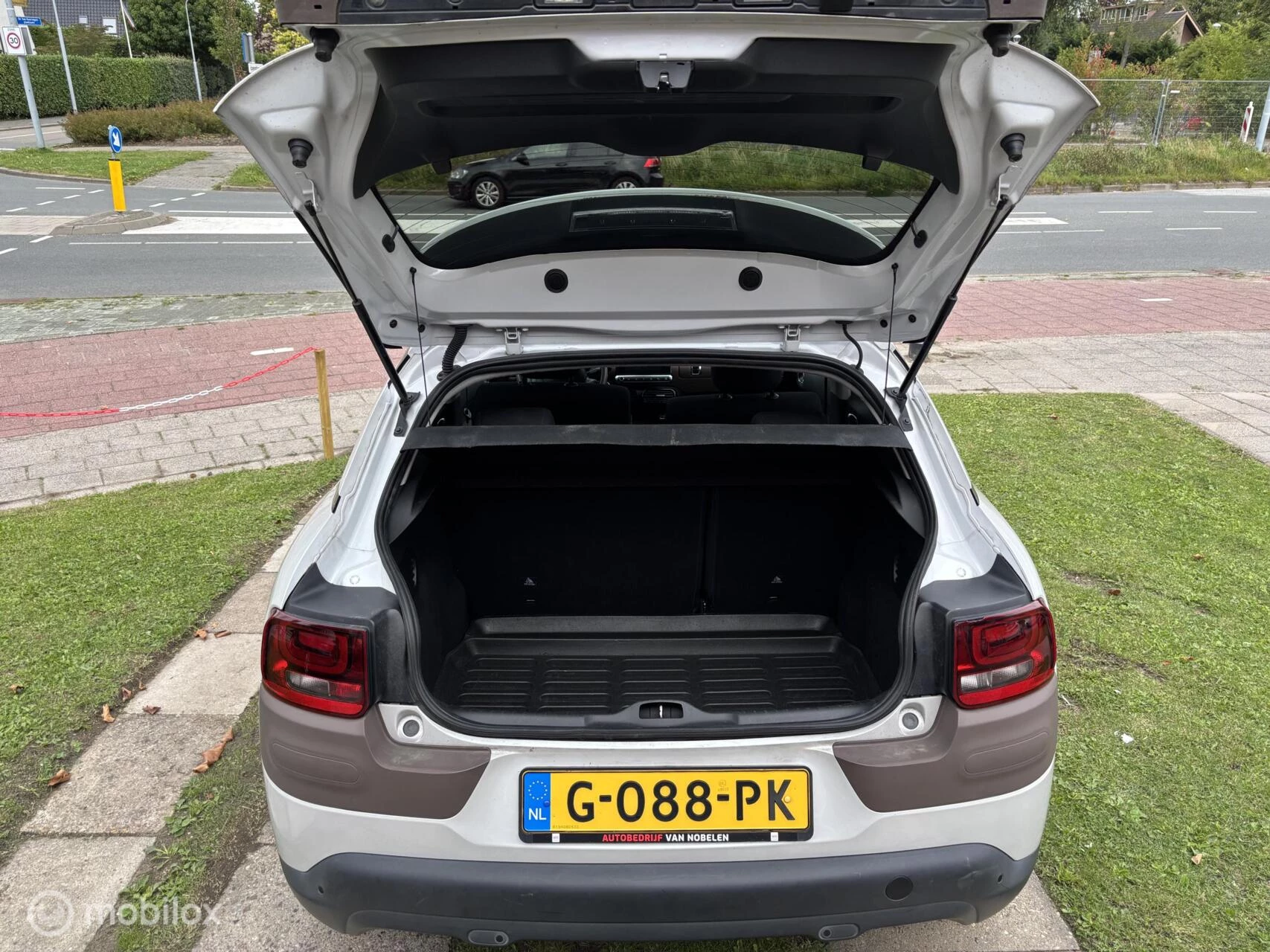 Hoofdafbeelding Citroën C4 Cactus