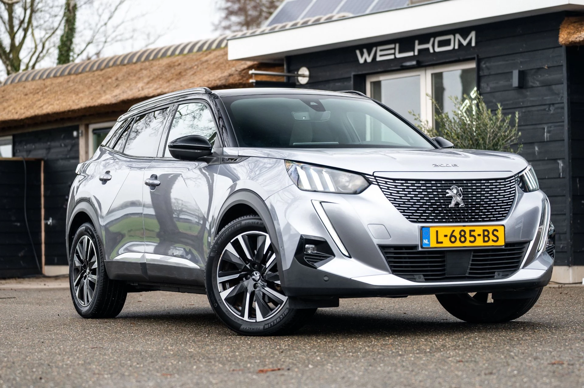 Hoofdafbeelding Peugeot e-2008