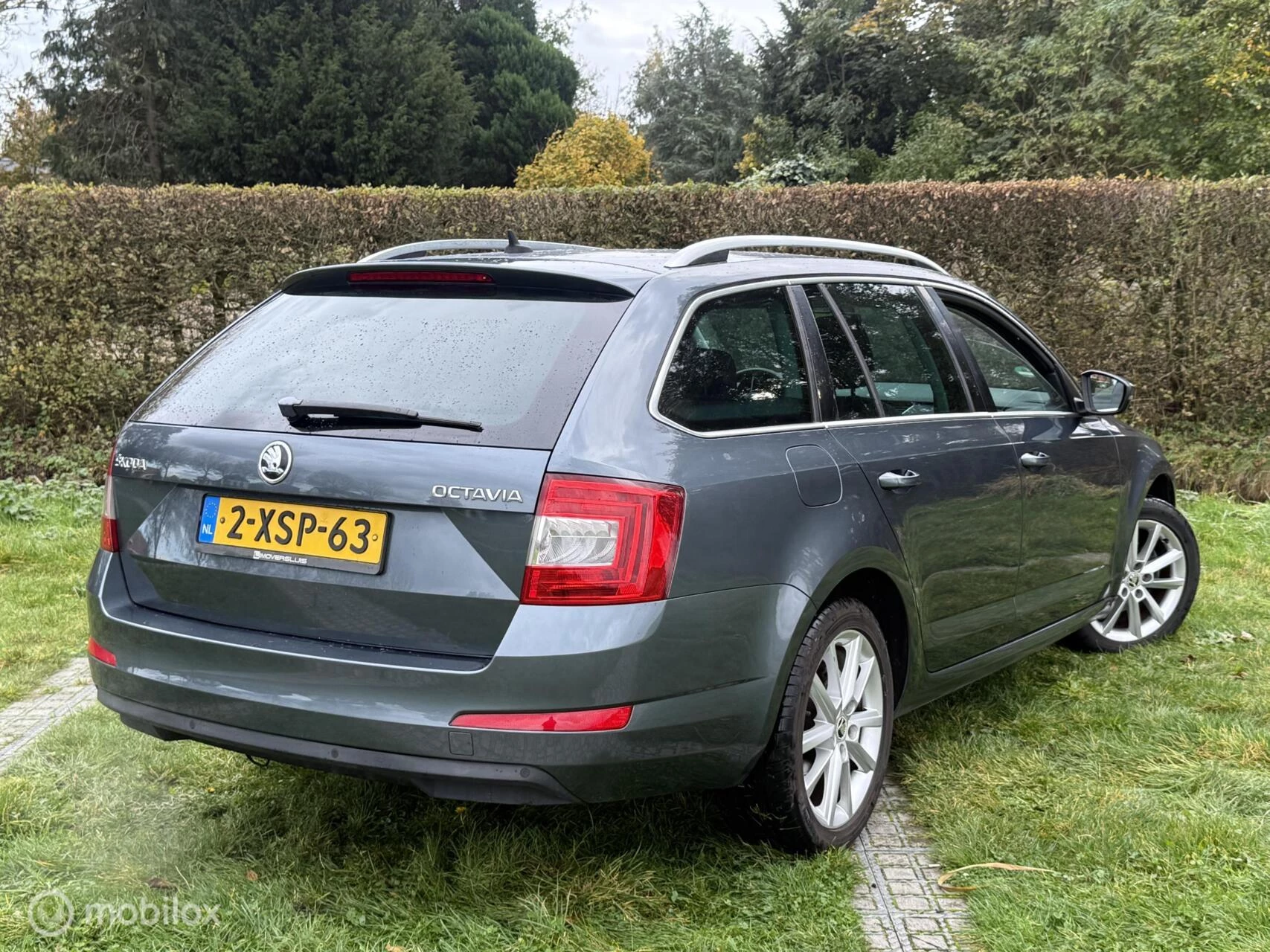 Hoofdafbeelding Škoda Octavia