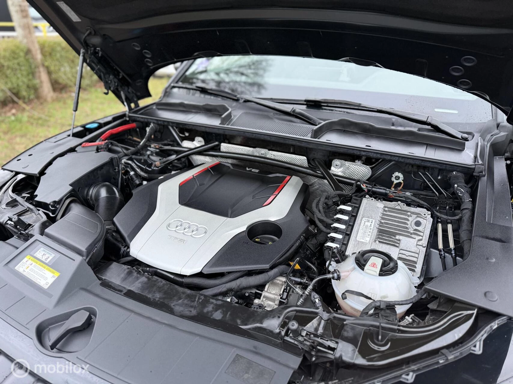 Hoofdafbeelding Audi SQ5