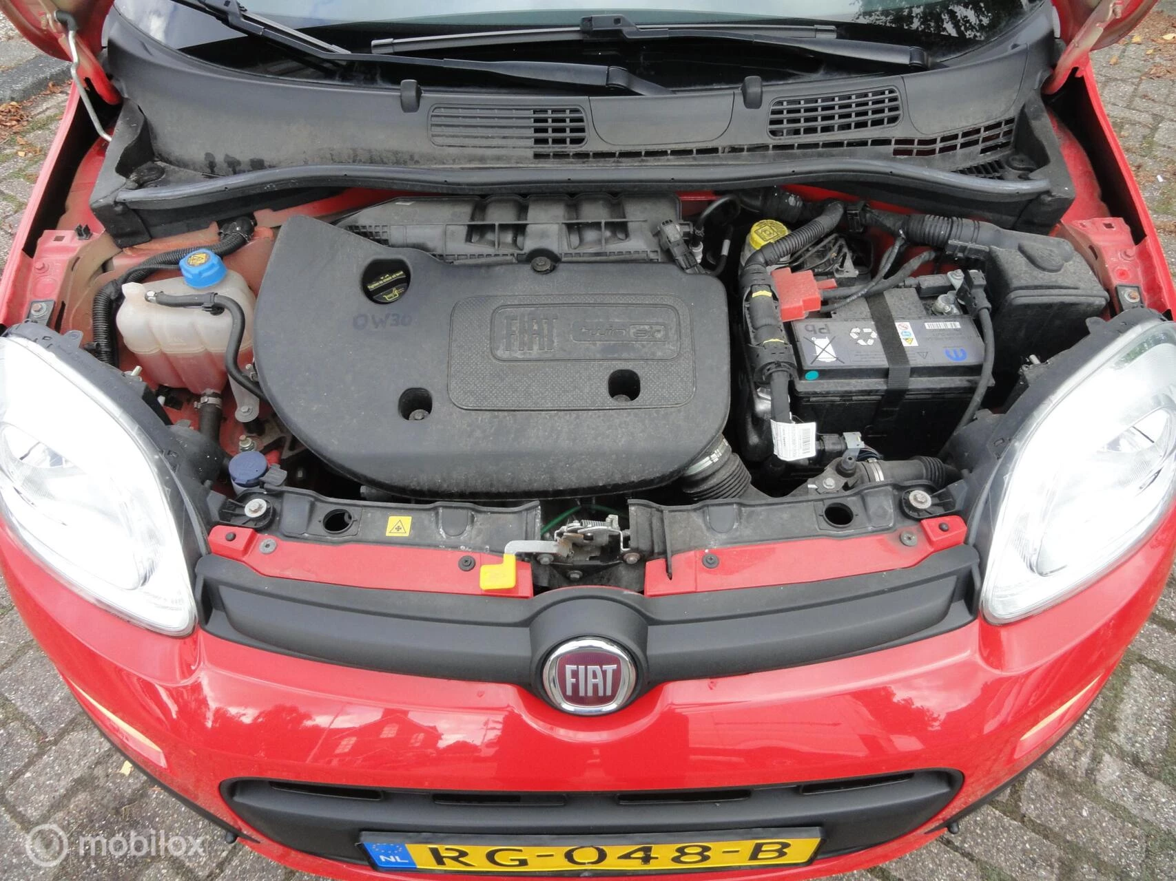 Hoofdafbeelding Fiat Panda