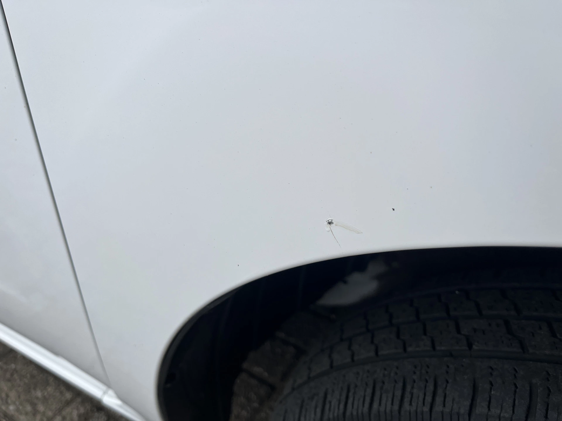 Hoofdafbeelding Nissan NV200