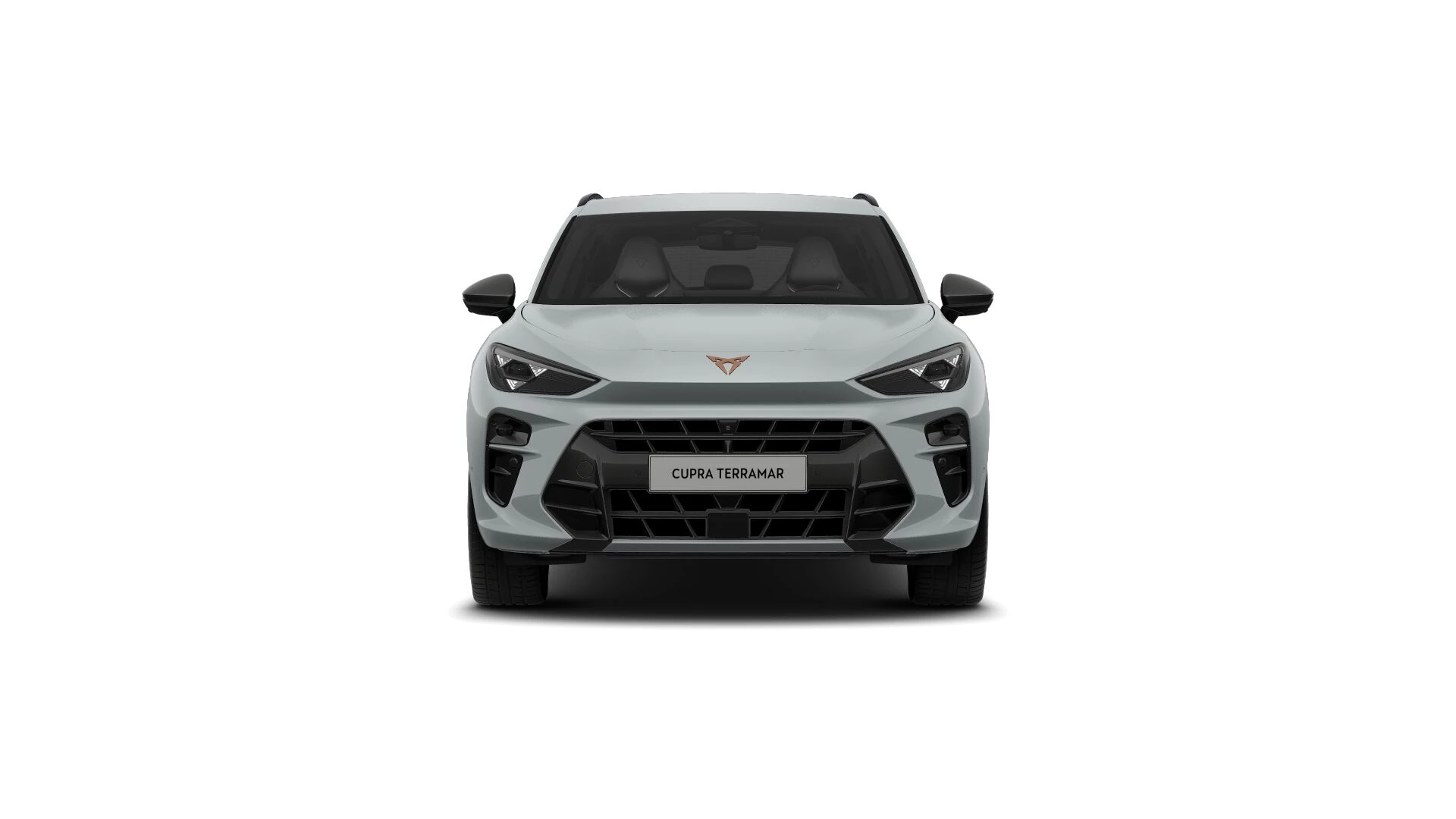Hoofdafbeelding CUPRA Terramar