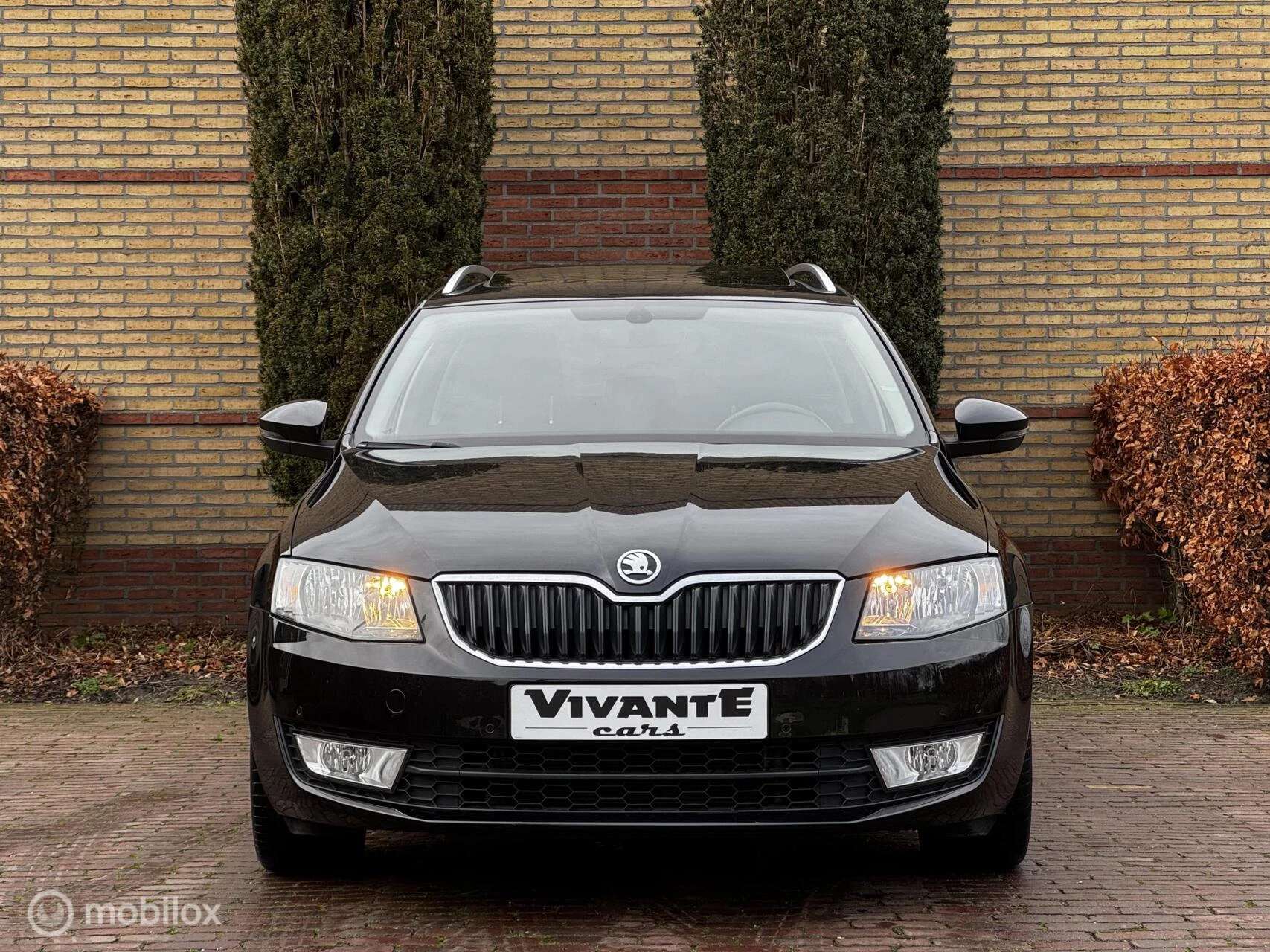 Hoofdafbeelding Škoda Octavia