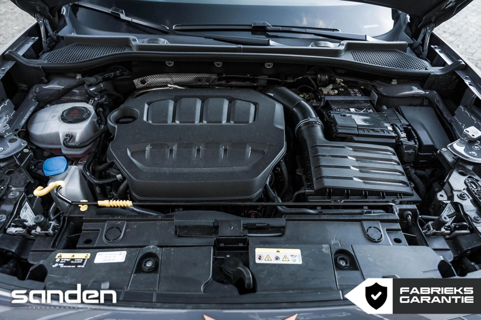 Hoofdafbeelding CUPRA Formentor