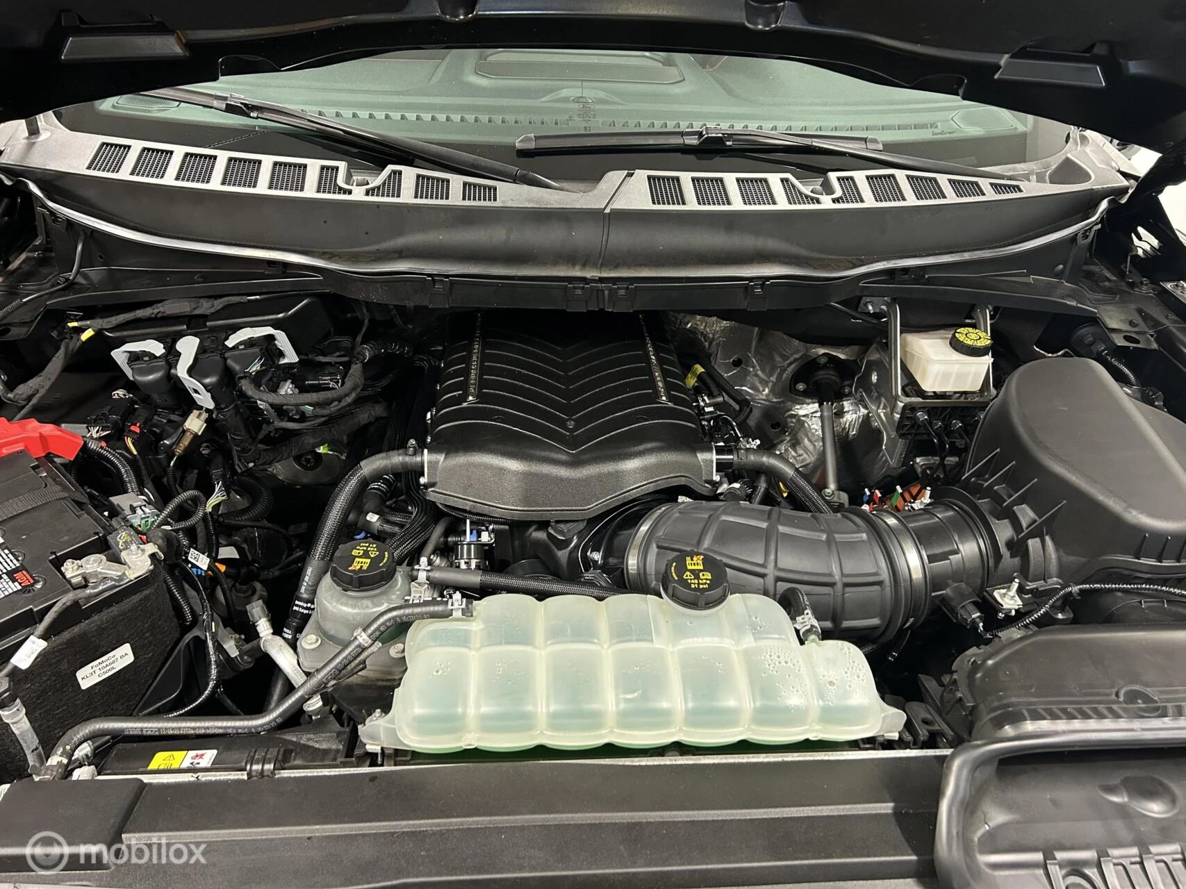 Hoofdafbeelding Ford F-150