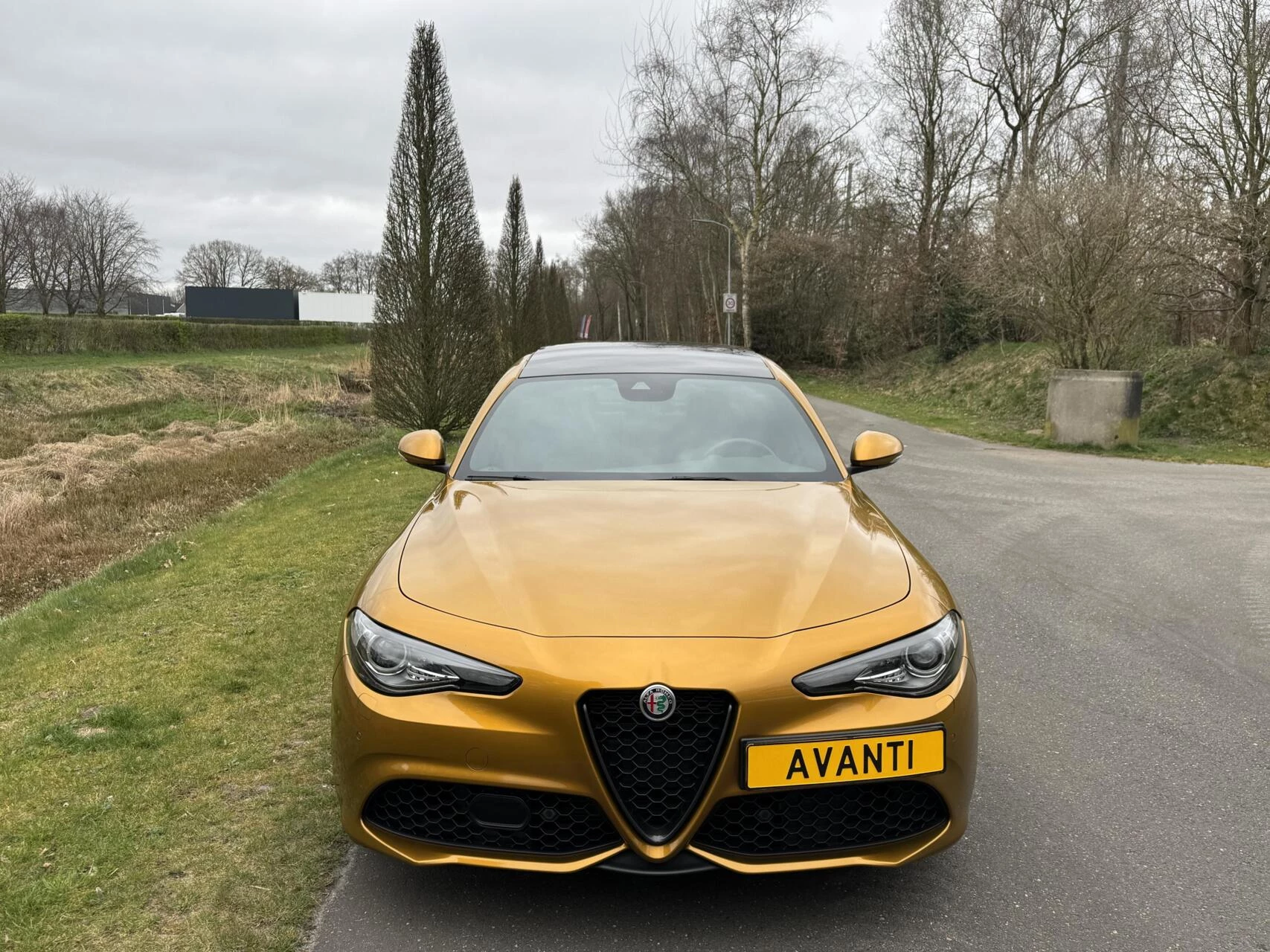 Hoofdafbeelding Alfa Romeo Giulia