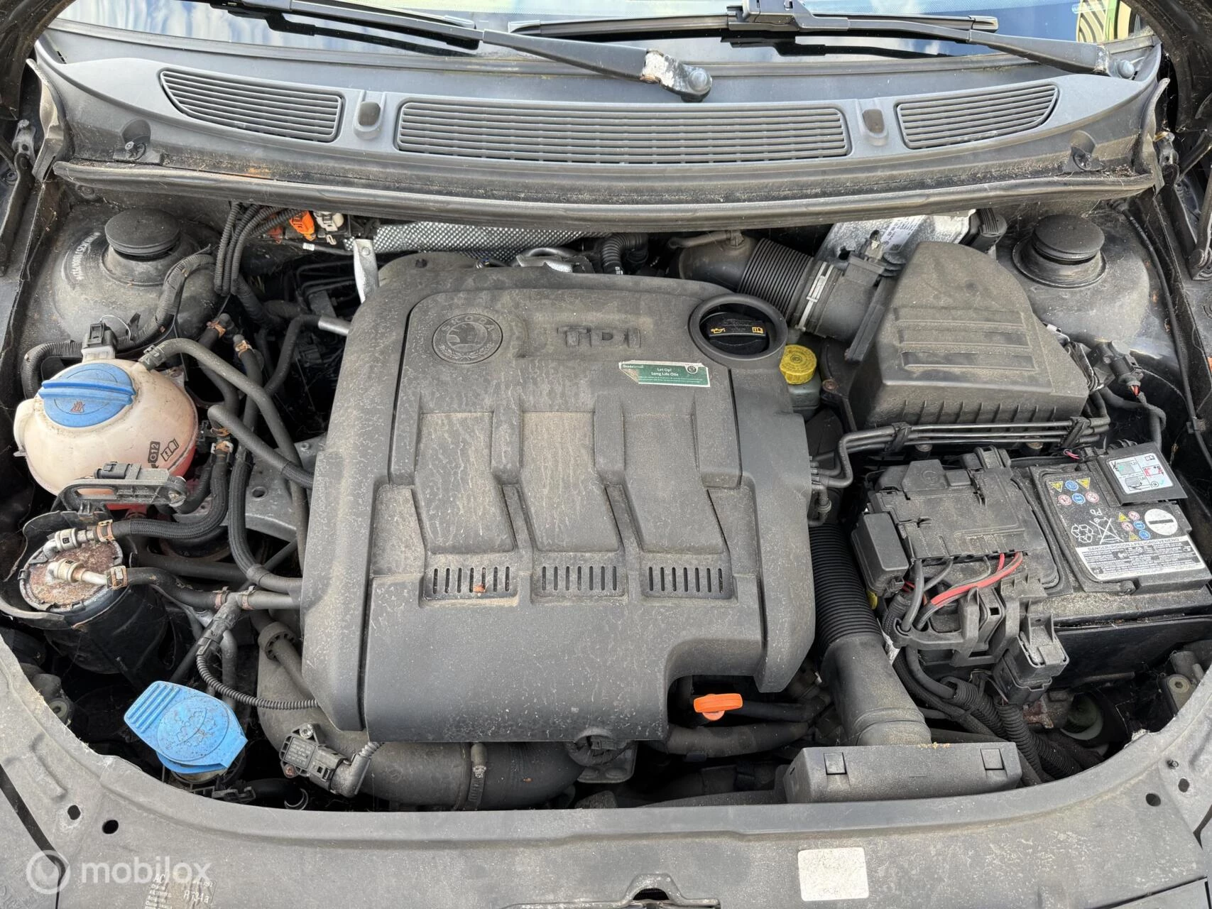 Hoofdafbeelding Škoda Fabia