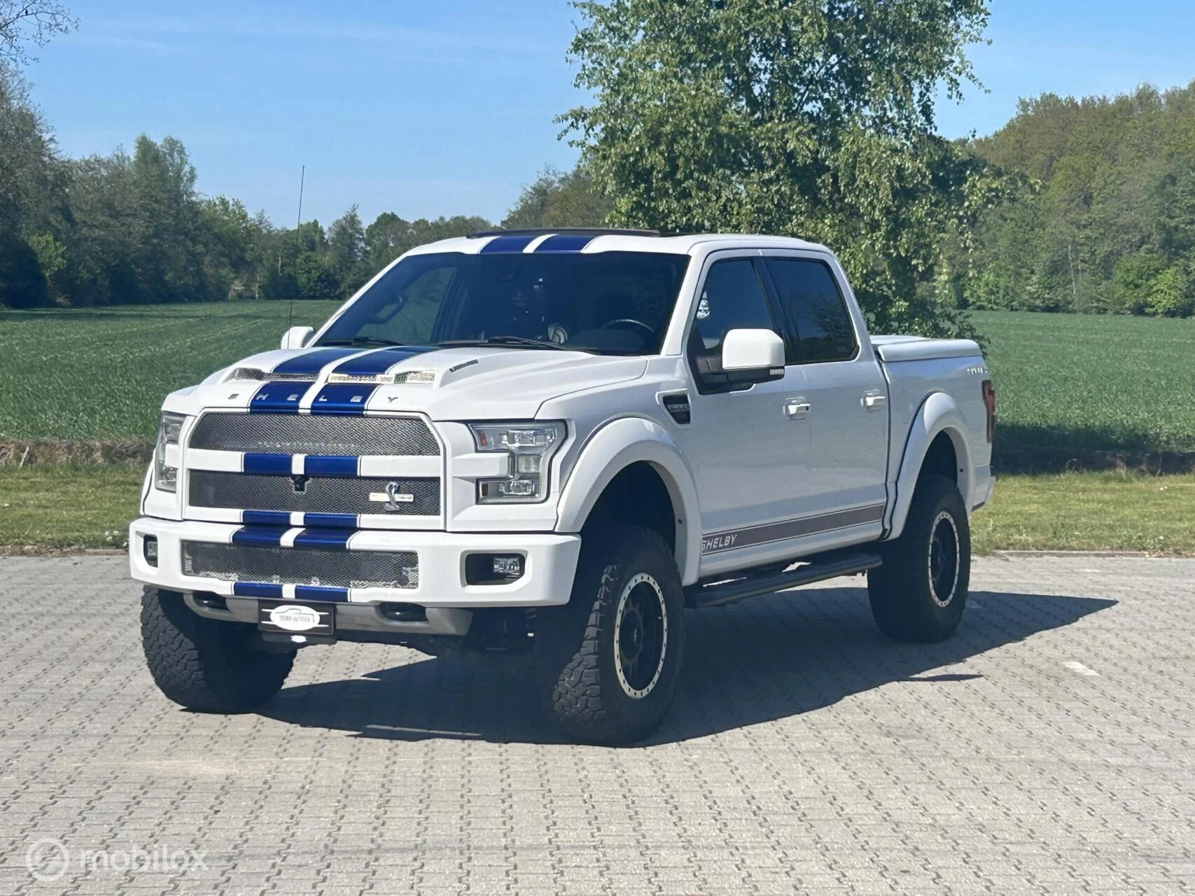 Hoofdafbeelding Ford F-150