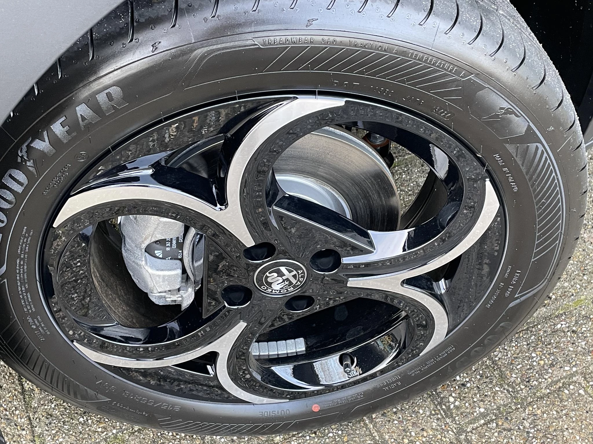 Hoofdafbeelding Alfa Romeo Junior