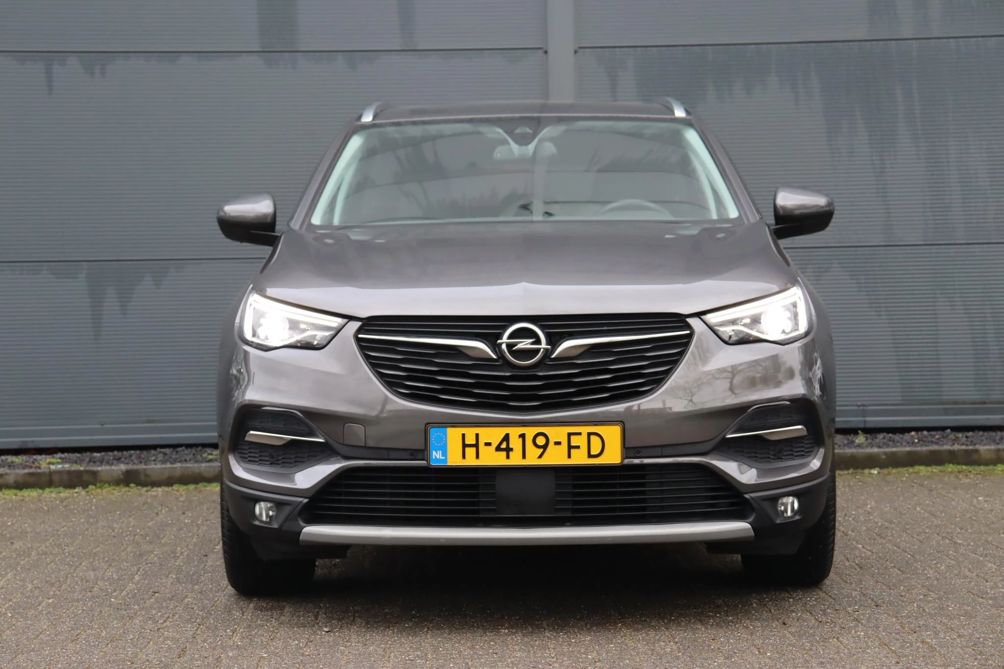 Hoofdafbeelding Opel Grandland X