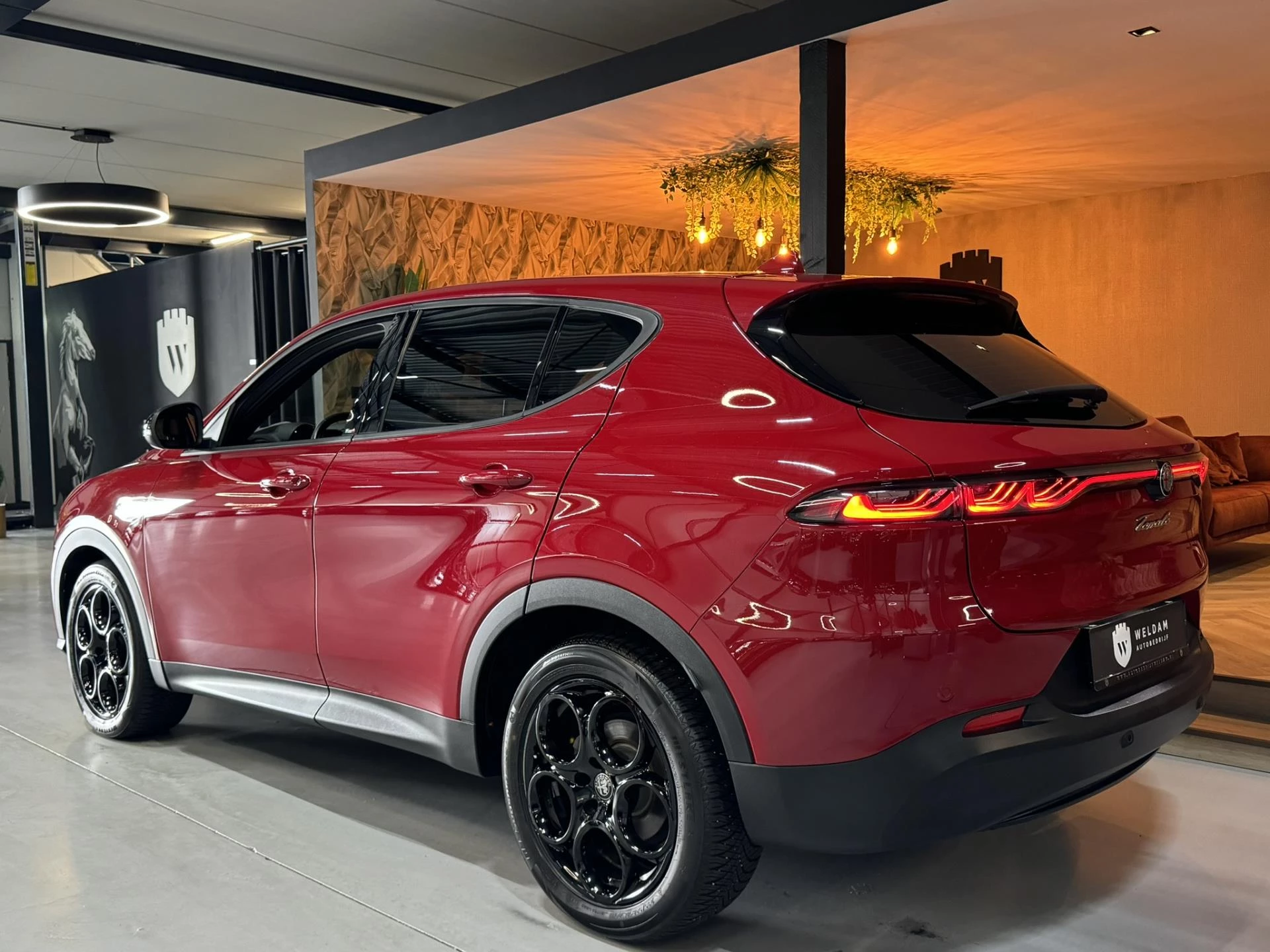Hoofdafbeelding Alfa Romeo Tonale