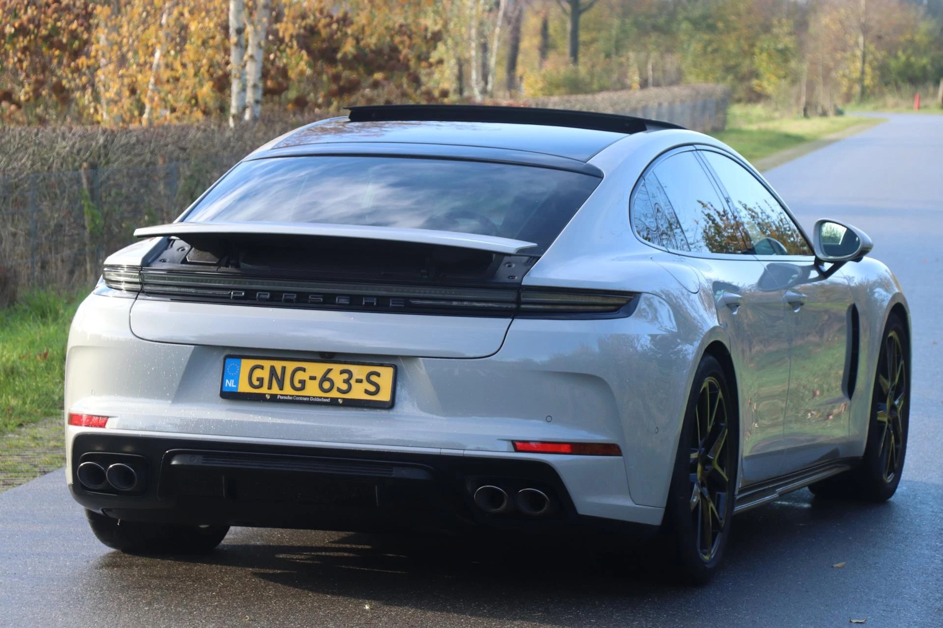 Hoofdafbeelding Porsche Panamera