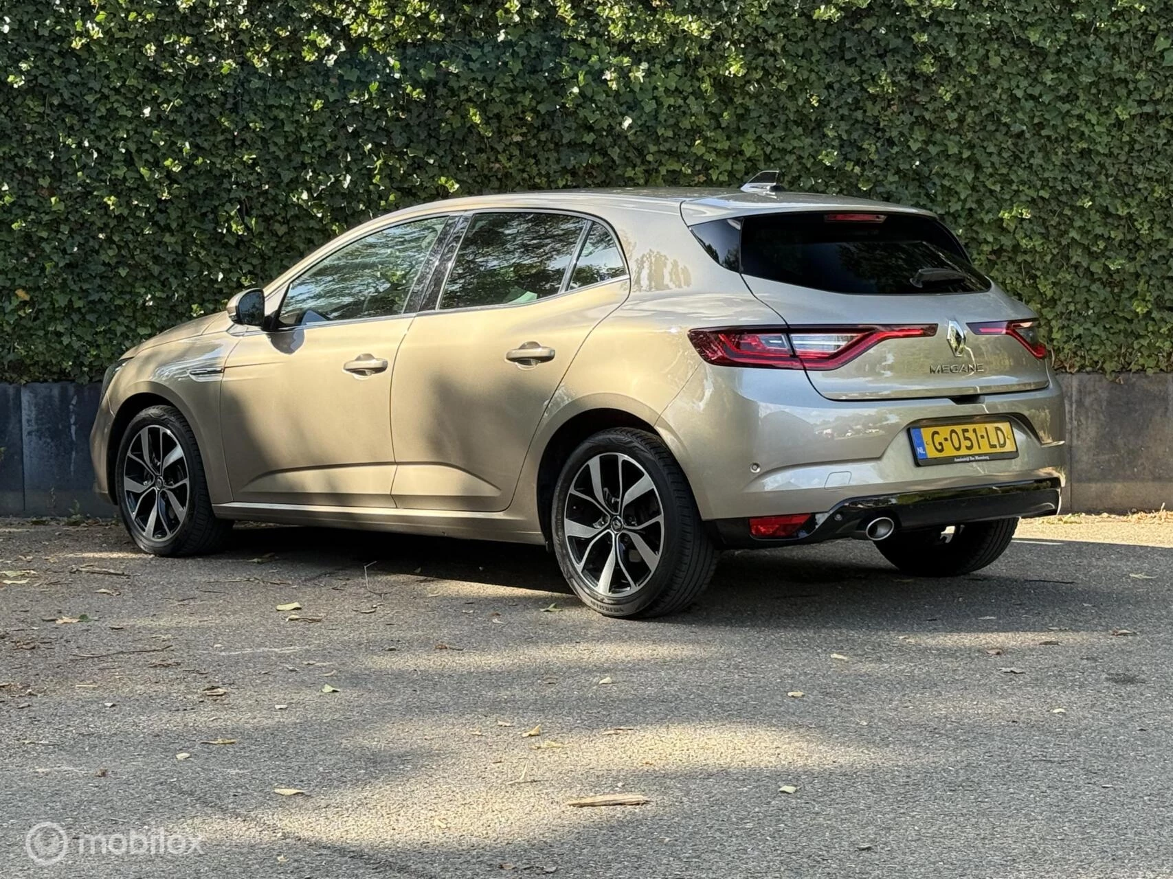 Hoofdafbeelding Renault Mégane