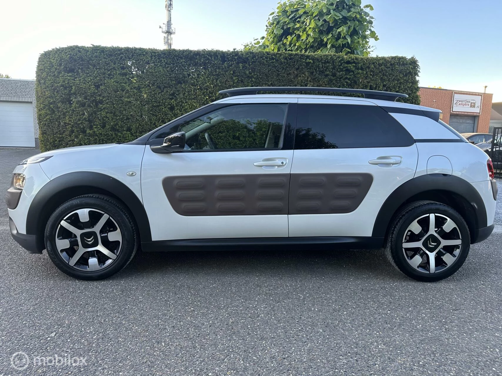 Hoofdafbeelding Citroën C4 Cactus