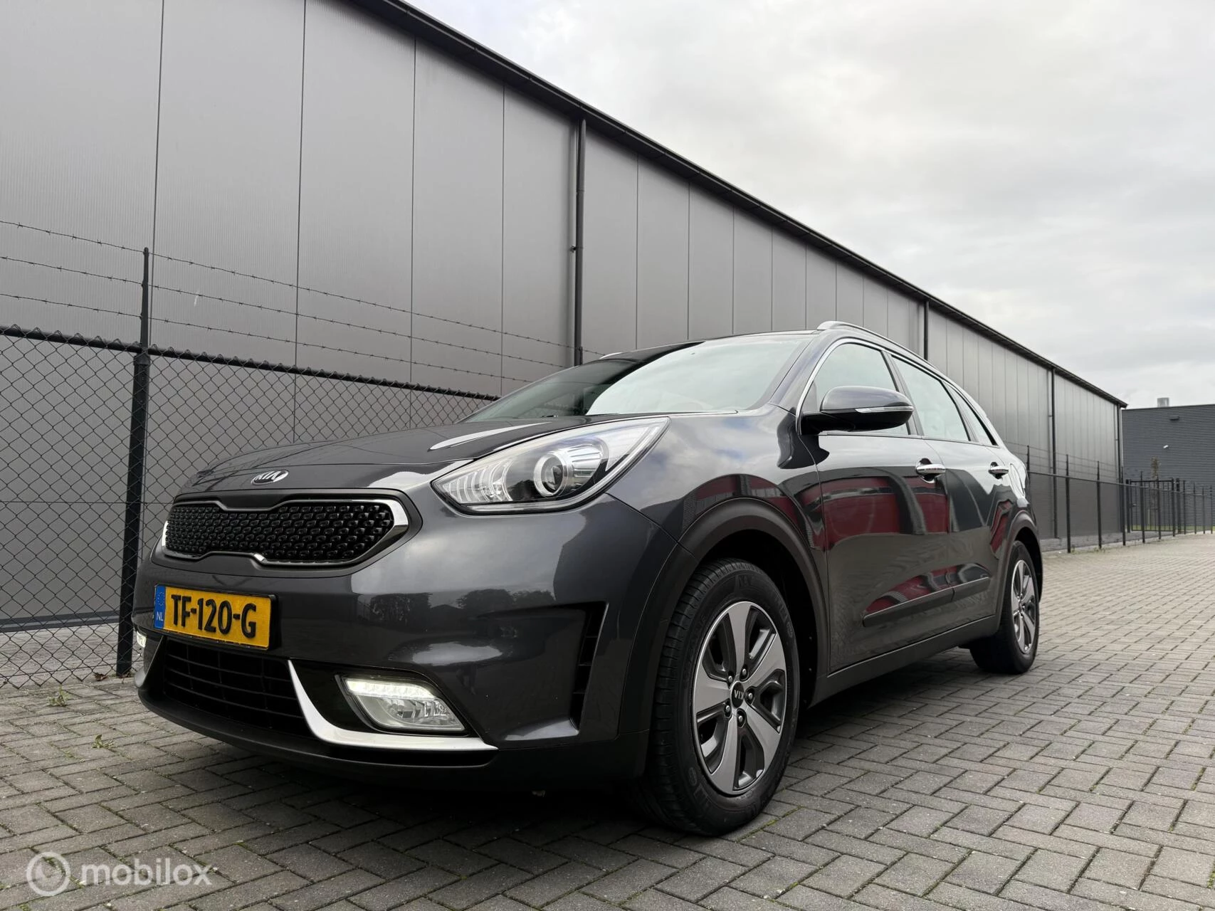Hoofdafbeelding Kia Niro